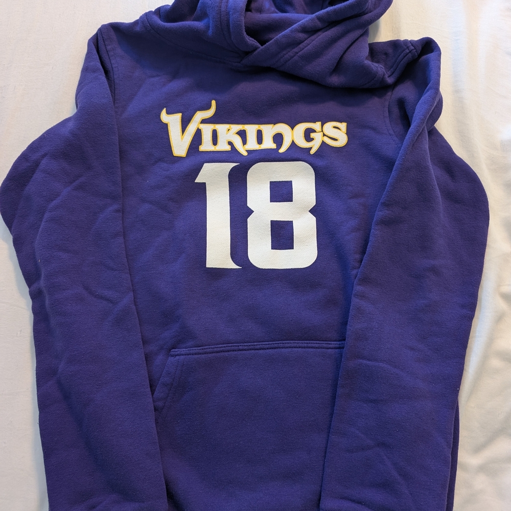 Purple Vikings Hoodie